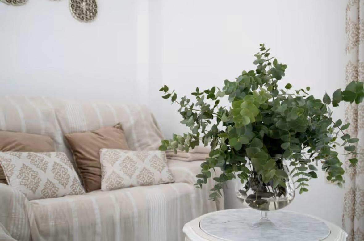 Apartamento Cataleya Ronda Buitenkant foto